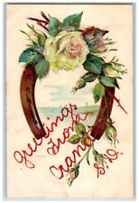 Crandon South Dakota SD Postcard Greetings Flower Glitter Embossed c1907 Vintage picture
