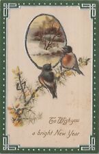 c1907 New Year birds mica glitter tinsel snow scene embossed postcard A538 picture