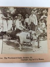 The Woodman's Goat Decatur Ill Illinois Stereoview People Children 1899 picture