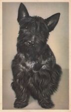 Artist Card Scottish Terrier Sitting with Head Tilted Vintage Postcard picture
