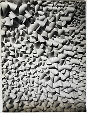 Stunning Abstract Composition, Decoration, Vintage Silver Print, c. 1960 picture