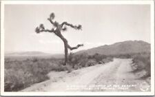 c1940s California RPPC Photo Postcard 