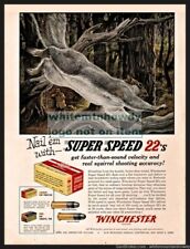 1955 WINCHESTER Super Speed .22 Ammunition Bullets PRINT AD Squirrel Hunting picture