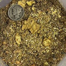 Approximately 20-35lbs US Gold Nugget Pay Dirt   Paydirt picture