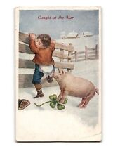 Vintage Postcard 'Caught at the Bar' - Boy & Pig - Early 1900s Collectible picture