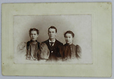 Young Men and Women Formally Dressed Sitting Portrait - c.1900s Cabinet Card picture