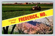 Frederick MD-Maryland, Scenic Banner Greetings Antique Souvenir Vintage Postcard picture