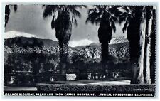 1935 Orange Blossoms Palms Snow-Capped Mountains Southern California CA Postcard picture