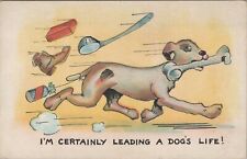 c1910s-1920s comic comical dog bone shoe leading a dog's life postcard A743 picture