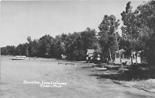J48/ Cedar Michigan RPPC Postcard c1950s Shoreline Lake Leelanau 319 picture