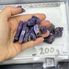 Holly HOLLEY BLUE AGATE Rough - Sweet Home, Oregon 200g 7oz BRIGHT GEMMY PURPLE picture