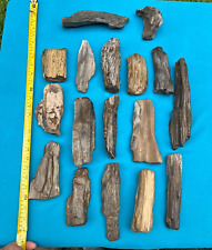 Texas Petrified Fossil Entire LOT Wood Large Tree Branch Pieces You Get As Shown picture