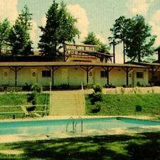 Woodlawn Hills Motel PICNIC OVENS Henderson Texas Vintage Postcard 6046 picture