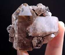 55g Natural Clear Gold Rutilated Skeletal Quartz Crystal Mineral    Specimens picture
