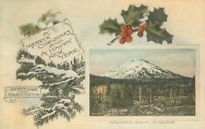 Vintage Mount St. Helens Christmas  Washington Wesley Andrews Postcard picture