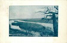 Postcard Illinois Rock River 1908 Margaret Fuller Island 23-10708 picture