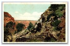 On Hermit Trail Grand Canyon AZ Fred Harvey UNP DB Postcard W11 picture