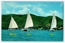 c1960s Dick Newick Sea Rovers Sailboats Tour Virgin Islands Buck Island Postcard picture