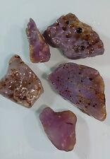 70gm. Holly Blue Agate Lot of 5 Very Nice Lots of Color  (Oregon) picture