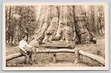 General Sherman Tree Base Giant Sequoia National Park Real Photo RPPC Postcard picture
