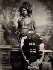 1880s ZULU WARRIOR African Tribes Man with Shield Classic Picture Photo 5x7 picture