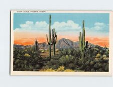 Postcard The Saguaro or Giant Cactus of Phoenix Arizona USA picture