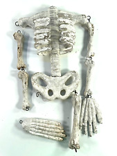 Antique 40s 50s Composition Halloween Skeleton skull hands picture
