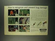 1959 Cyanamid Malathion Insecticides Ad - Bug Damage picture