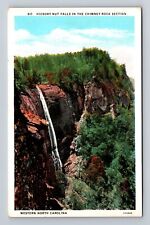 Chimney Rock NC-North Carolina, Hickory Nut Falls, Antique Vintage Postcard picture