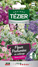 Seed Bag Mixed Fragrant Flowers - Tezier picture