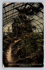 Pittsburgh PA-Pennsylvania, Fern, Phipps Conservatory, Vintage c1914 Postcard picture