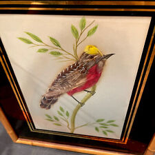 Vintage Real Nice Framed Red Yellow Bird Feather Art Picture 17” X 14” Frame picture