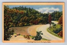 Muskegon MI-Michigan, General Greetings, Scenic Country Road, Vintage Postcard picture