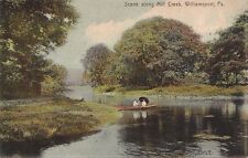 Postcard Scene Along Mill Creek Williamsport PA picture