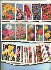 1939 WILLS CIGARETTES GARDEN FLOWERS NEW VARIETIES SERIES 2 TOBACCO CARD SET picture
