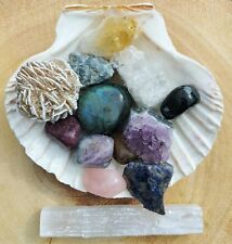 14 Piece All Rounder Crystal Kit, Selenite Stick & Scallop Shell, Cluster, Raw. picture