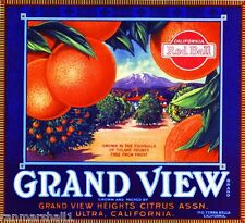 Ultra Terra Bella Tulare County Grand View Orange Citrus Fruit Crate Label Print picture