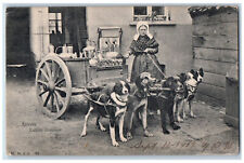 Antwerp Flemish Belgium Postcard Flemish Milkmaid 1903 Antique Posted picture