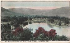 Vintage 1907 Postcard Susquehanna river Castle Tower Hallstead Pennsylvania  picture