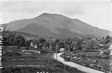 Hungry Hill, Castletownbere, Co. Cork c1900 Ireland OLD PHOTO picture