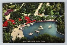 Sarasota FL-Florida, Silver Springs, Advertising, Antique Vintage Postcard picture