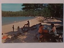 Greetings From Metedeconk Picnic Area  Postcard  picture
