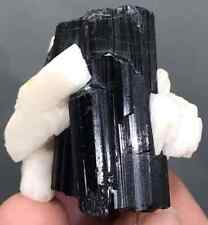 Beautiful black Tourmaline Crystal Specimen from Pakistan 269 Carats picture