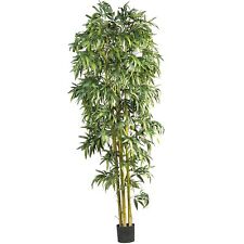 Nearly Natural 5192 Bamboo Tree 8-feet (5192) picture