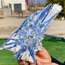 2.14LB Rare Natural beautiful Blue KYANITE with Quartz Crystal Specimen Rough picture