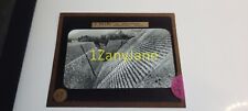 T15 HISTORIC Glass Magic Lantern Slide WORLD PLACES 67 T ENAMI PYRAMID STAIRS picture