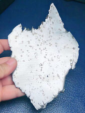 213g Russia dronino iron meteorite thin slice picture