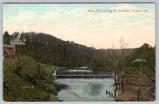1908 BUTZ DAM ALONG THE BUSHKILL EASTON PA*WATERFALLS*VALENTINE & CO POSTCARD picture