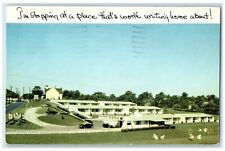 1955 Bluegrass Thoroughbred Motor Court Winchester Kentucky KY Vintage Postcard picture