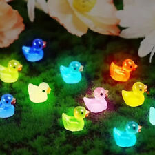 20pcs Mini Resin Ducks Luminous Tiny Ducks Miniature Duck Glow in the Dark picture